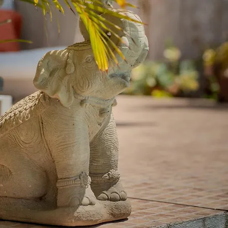 Appartement With Private Pool & Ocean Views *